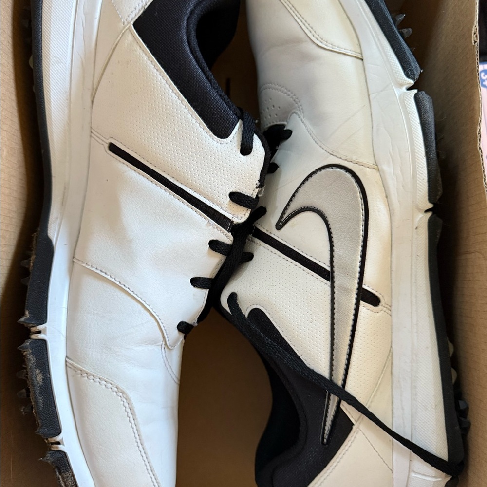 Nike Men's Durasport 4 Golf shoes